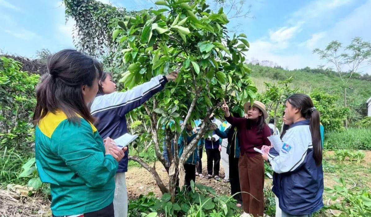 Phú Thọ đặt mục tiêu 85% lao động có việc làm sau đào tạo