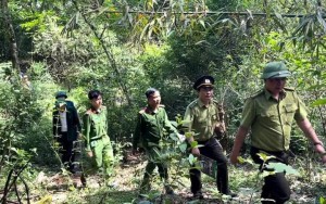 Thanh Hoá: Phối hợp bảo vệ rừng và phòng cháy chữa cháy rừng khu vực biên giới