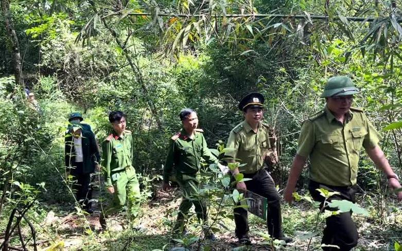 Thanh Hoá: Phối hợp bảo vệ rừng và phòng cháy chữa cháy rừng khu vực biên giới