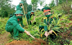 TP.Hồ Chí Minh phát động “Tết trồng cây đời đời nhớ ơn Bác Hồ”,  dự kiến trồng hơn 18.000 cây xanh
