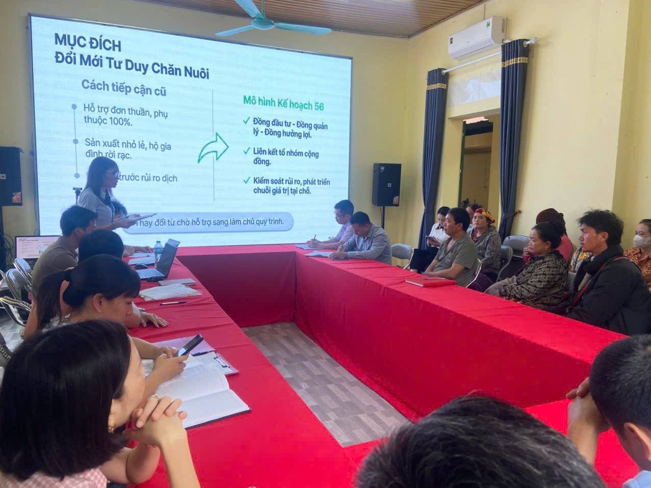 Lào Cai phát triển mô hình nuôi lợn nái bản địa an toàn dịch bệnh tại xã Cốc Lầu