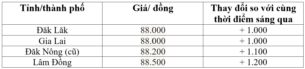 Bảng giá cà phê trong nước hôm nay 13/5/2026