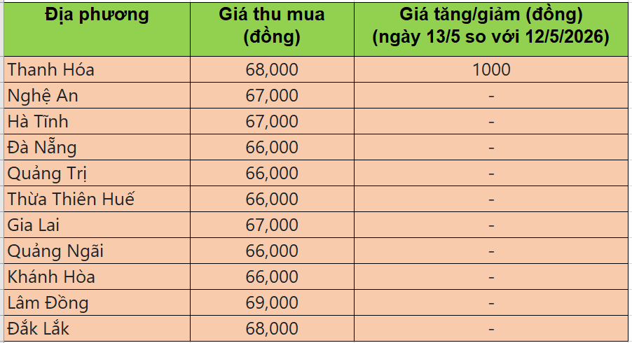 Bảng giá heo hơi tại miền Trung - Tây Nguyên hôm nay 13/5/2026