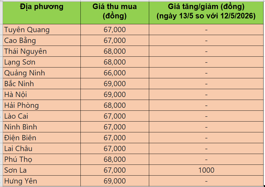 Bảng giá heo hơi tại miền Bắc hôm nay 13/5/2026