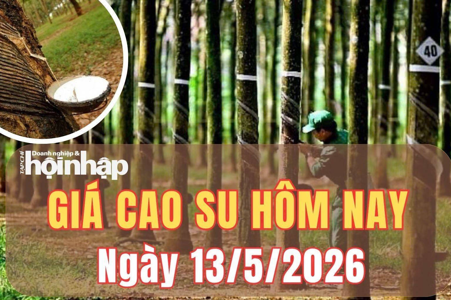 Giá cao su hôm nay 13/5/2026: Giá cao su Thượng Hải biến động trái chiều, Tokyo đi ngang