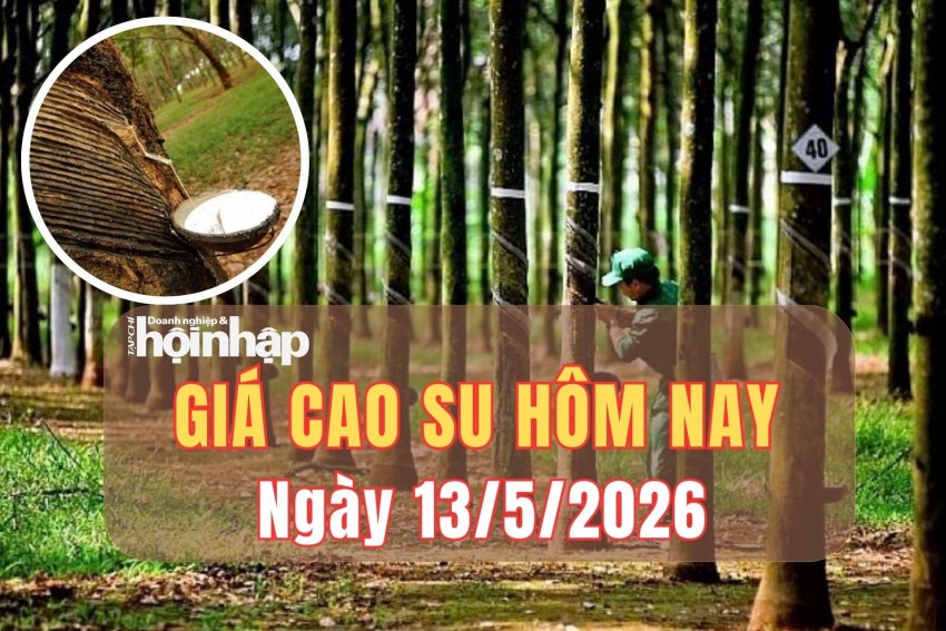 Giá cao su hôm nay 13/5/2026: Giá cao su Thượng Hải biến động trái chiều, Tokyo đi ngang