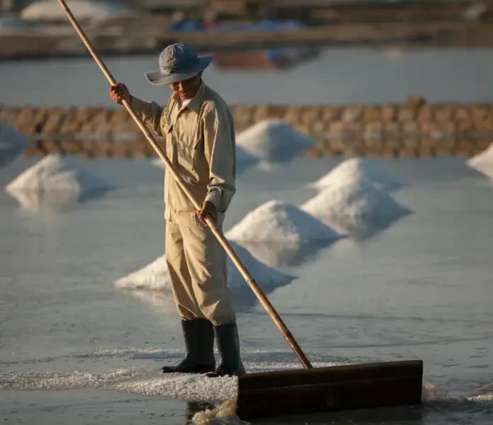 Trên những cánh đồng muối Khánh Hòa: Diêm dân săn 