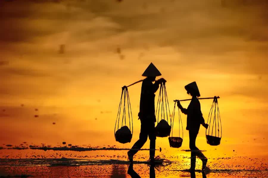 Trên những cánh đồng muối Khánh Hòa: Diêm dân săn 