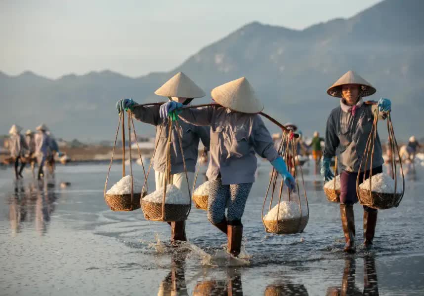 Trên những cánh đồng muối Khánh Hòa: Diêm dân săn 