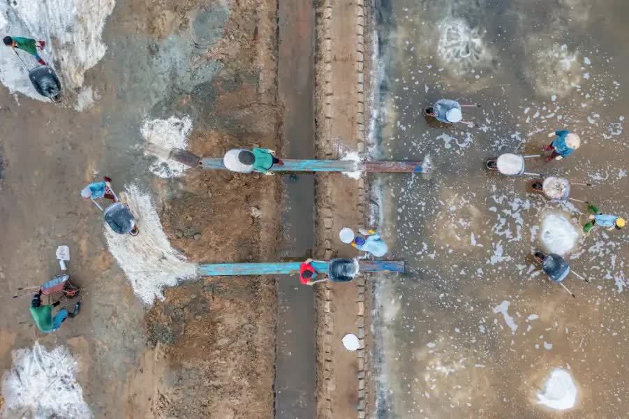 Trên những cánh đồng muối Khánh Hòa: Diêm dân săn 