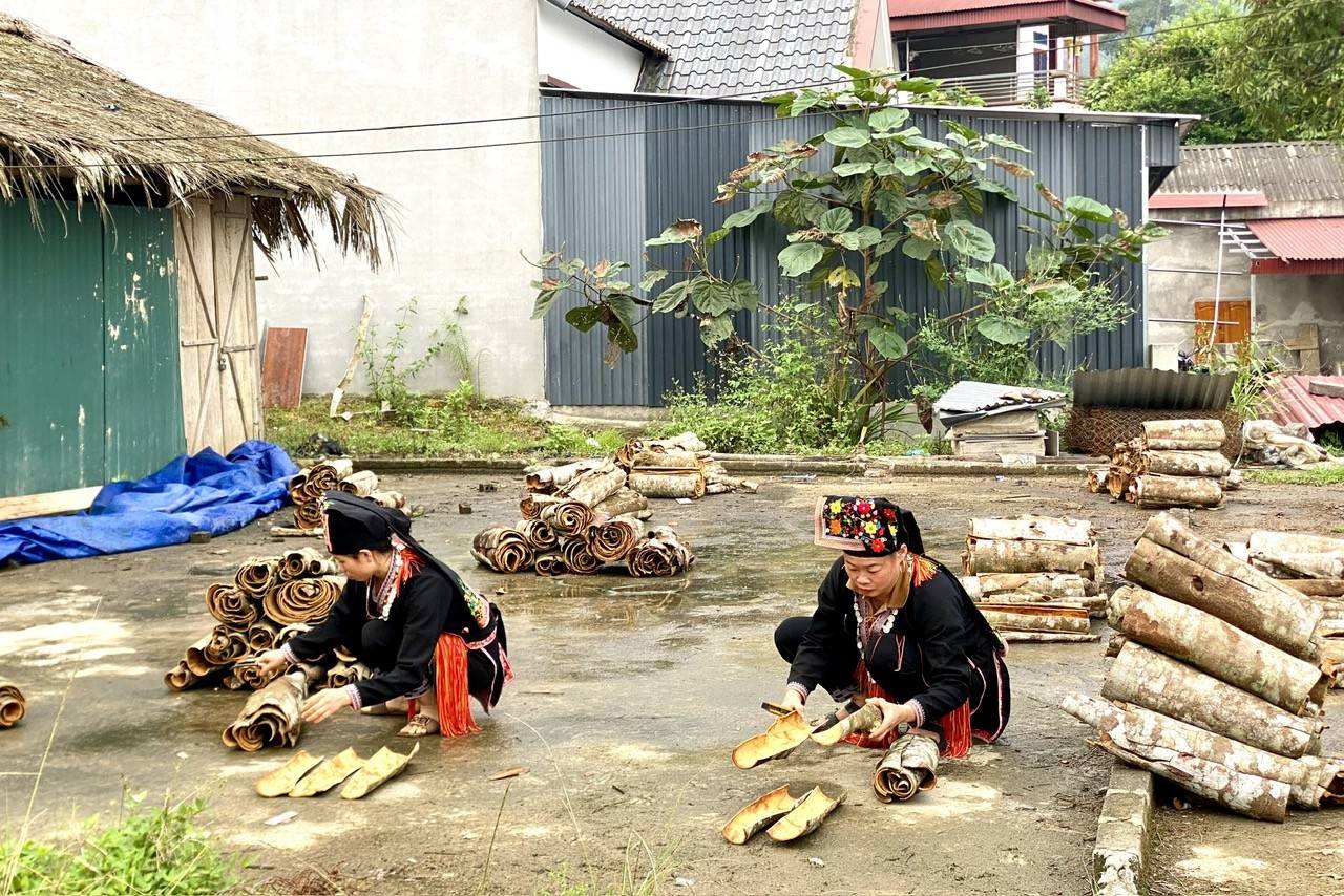 Lào Cai: Phong Dụ Thượng tạo đột phá kinh tế từ quế, thủy sản lạnh và du lịch xanh vùng cao