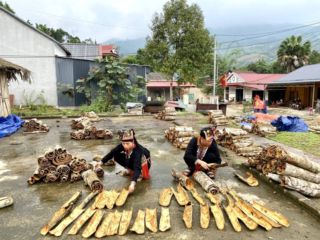 Lào Cai: Phong Dụ Thượng tạo đột phá kinh tế từ quế, thủy sản lạnh và du lịch xanh vùng cao