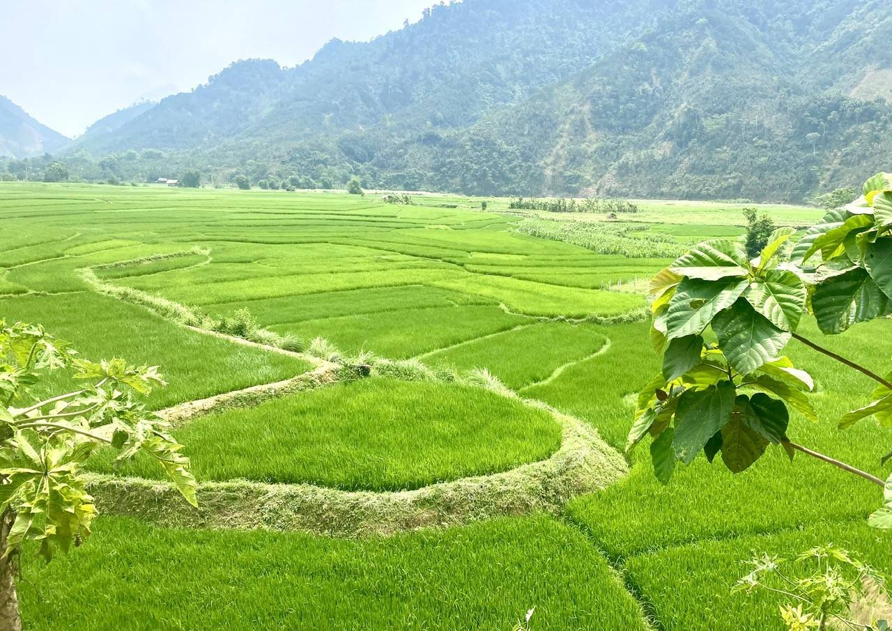 Lào Cai: Phong Dụ Thượng tạo đột phá kinh tế từ quế, thủy sản lạnh và du lịch xanh vùng cao