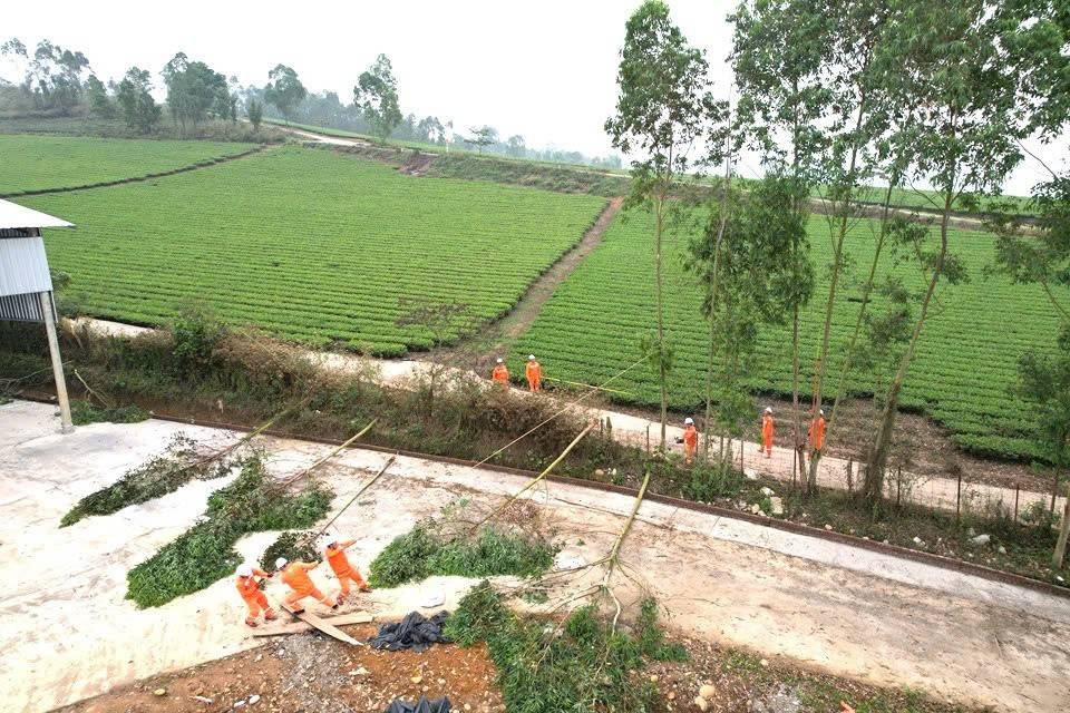 Công ty Điện lực Lào Cai chủ động bảo đảm điện phục vụ diễn tập phòng thủ dân sự năm 2026