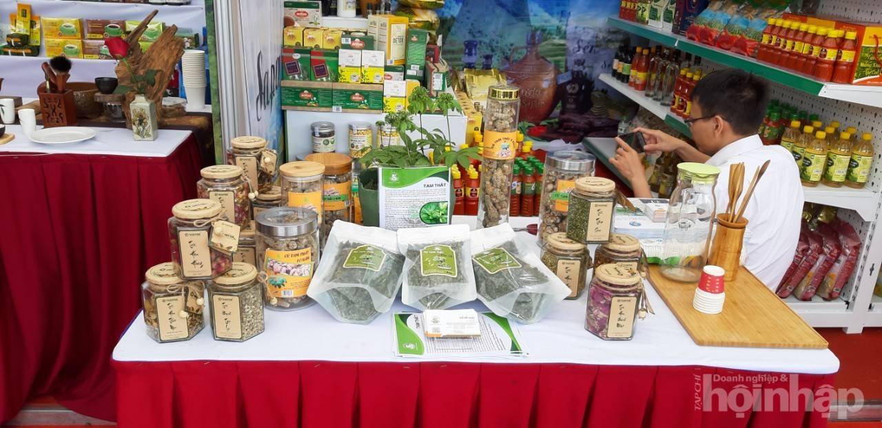 Lào Cai khơi “mỏ vàng xanh” dược liệu, mở hướng tăng trưởng mới cho kinh tế vùng cao