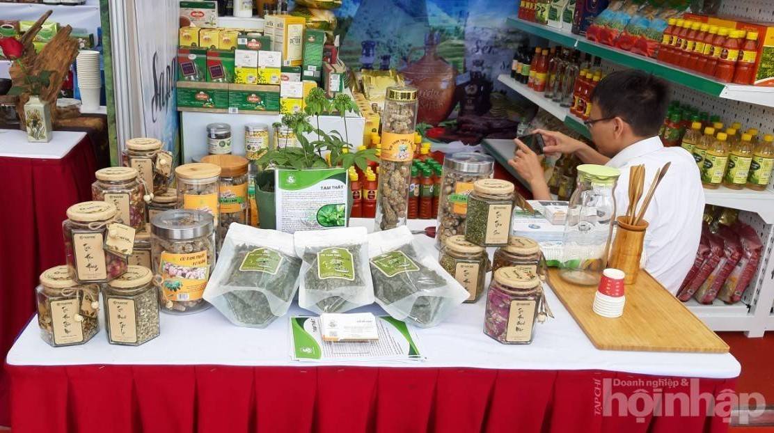 Lào Cai khơi “mỏ vàng xanh” dược liệu, mở hướng tăng trưởng mới cho kinh tế vùng cao