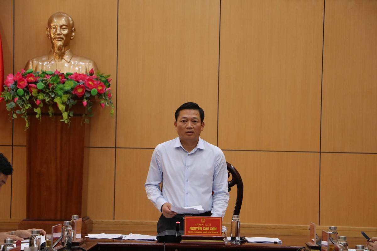 Đồng chí Nguyễn Cao Sơn, Phó Chủ tịch UBND tỉnh, phát biểu kết luận hội nghị 