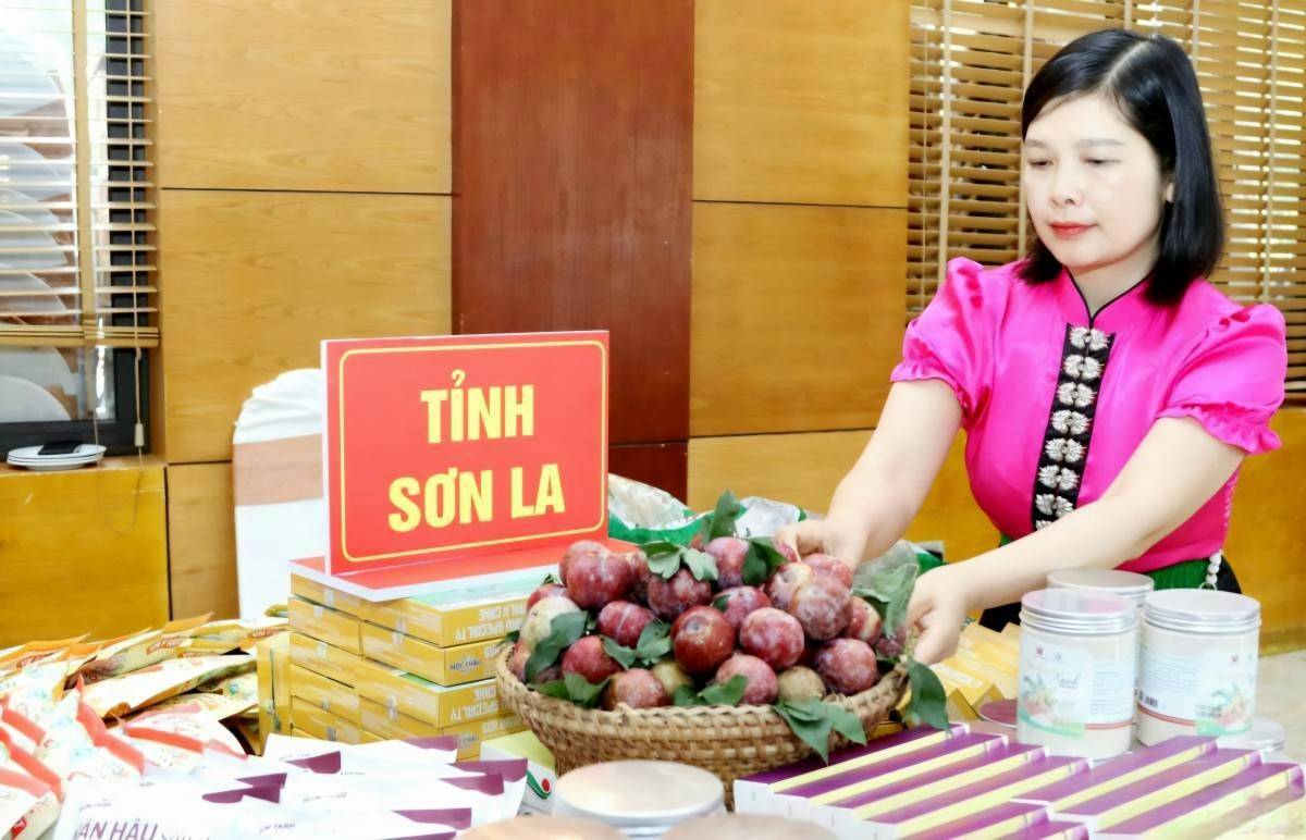 Tây Bắc mở rộng tăng tốc liên kết du lịch sau sáp nhập tỉnh