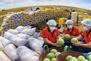 Trung Quốc siết quy định SPS, doanh nghiệp xuất khẩu đối mặt yêu cầu mới