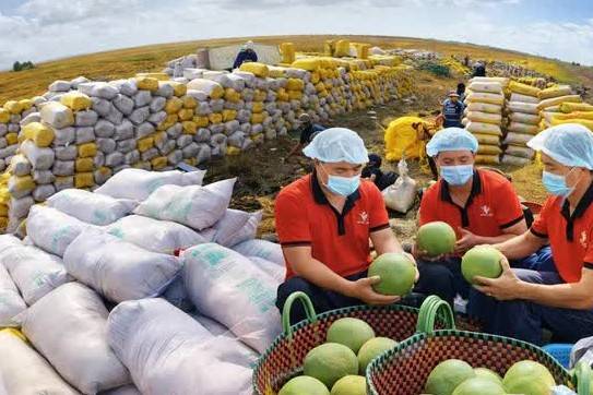 Trung Quốc siết quy định SPS, doanh nghiệp xuất khẩu đối mặt yêu cầu mới