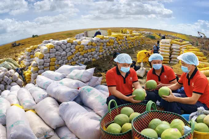 Trung Quốc siết quy định SPS, doanh nghiệp xuất khẩu đối mặt yêu cầu mới