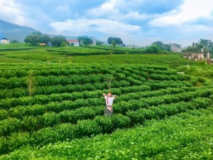 Mô hình Làng Háo Hức định hình giá trị mới cho du lịch trải nghiệm Thái Nguyên