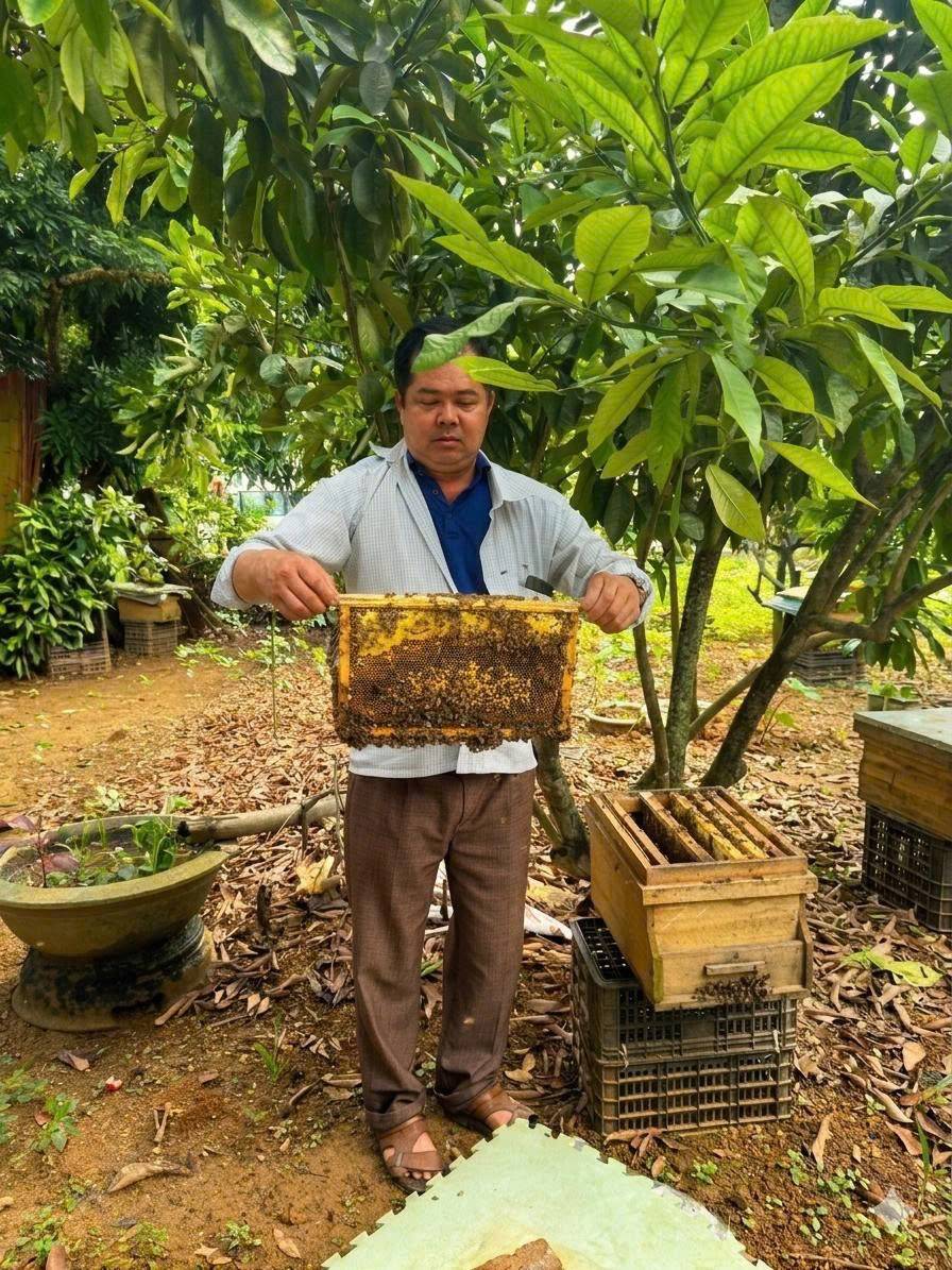 Anh Lý Văn Thuận, Thôn 3, xã Thượng Hà kiểm tra đàn ong
