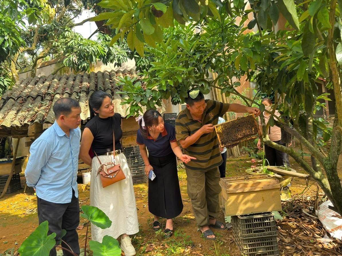 Anh Vũ Hồng Sơn  nhấc cầu ong cho mọi người xem trong quá trình chăm sóc đàn ong