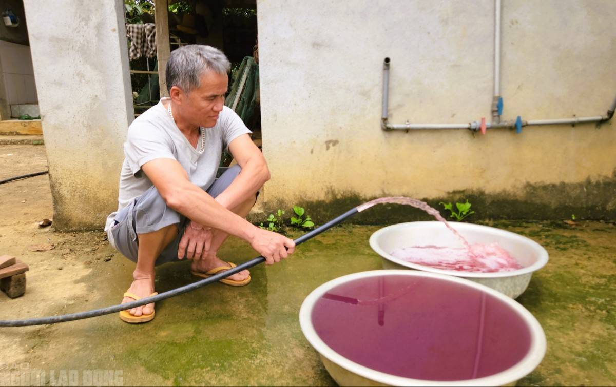 Thanh Hóa: Phạt công ty xả thải làm ô nghiễm nguồn nước 1,547 tỷ đồng