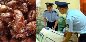 Lạng Sơn: Trả lại 80kg xác ve sầu bị tạm giữ sau khi chủ hàng minh oan bằng hồ sơ gốc