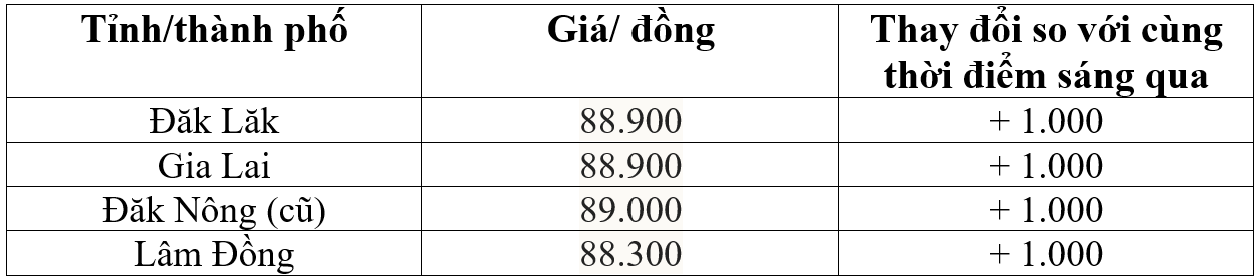 Bảng giá cà phê trong nước hôm nay 15/5/2026