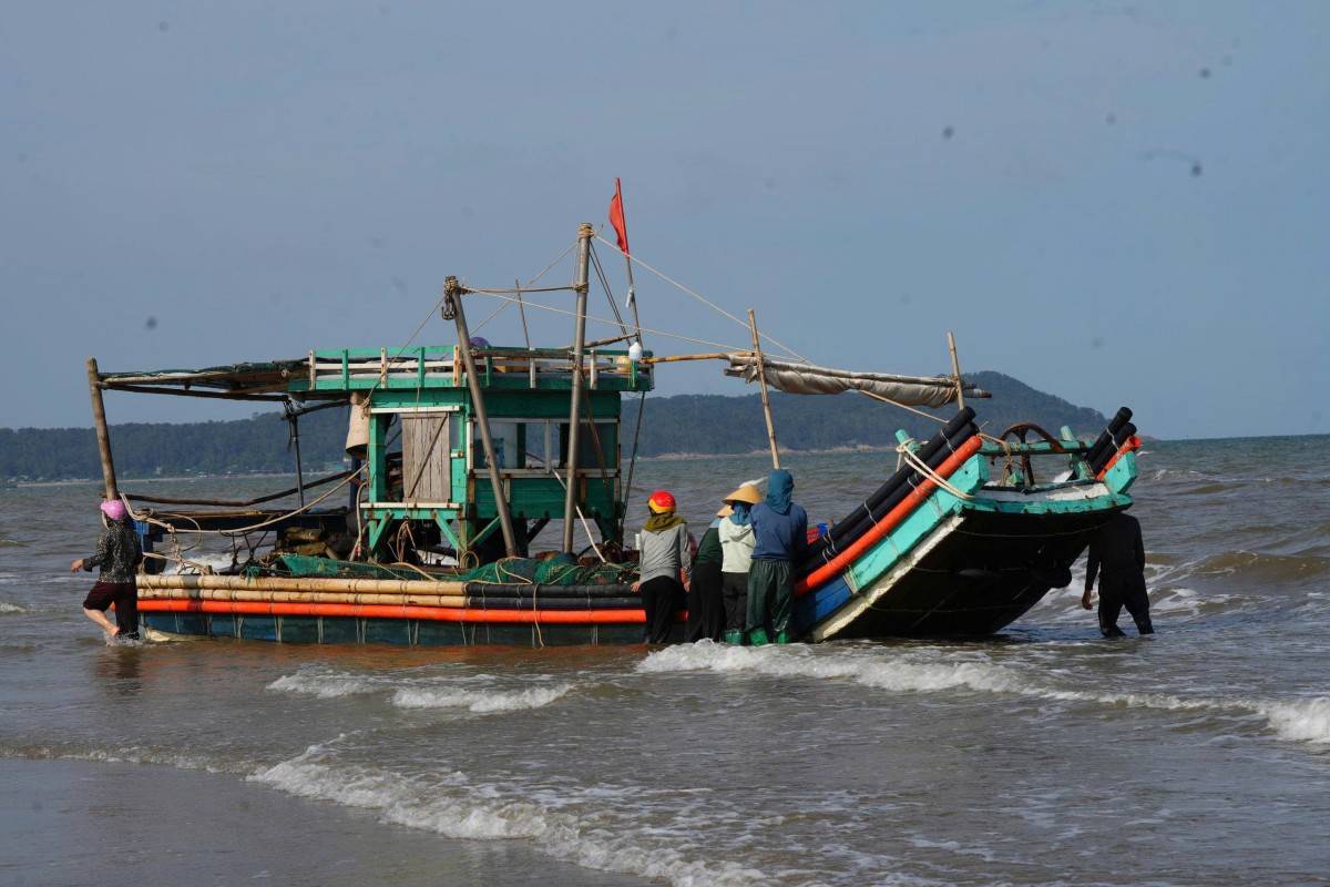 Nhộn nhịp mùa kéo lưới ở biển Sầm Sơn: Cá tôm vừa cập bờ đã có người chờ mua