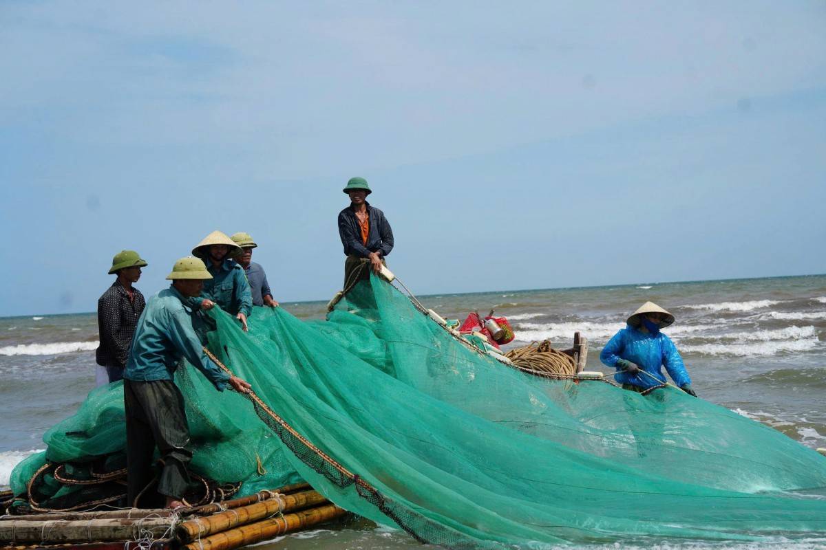 Nhộn nhịp mùa kéo lưới ở biển Sầm Sơn: Cá tôm vừa cập bờ đã có người chờ mua
