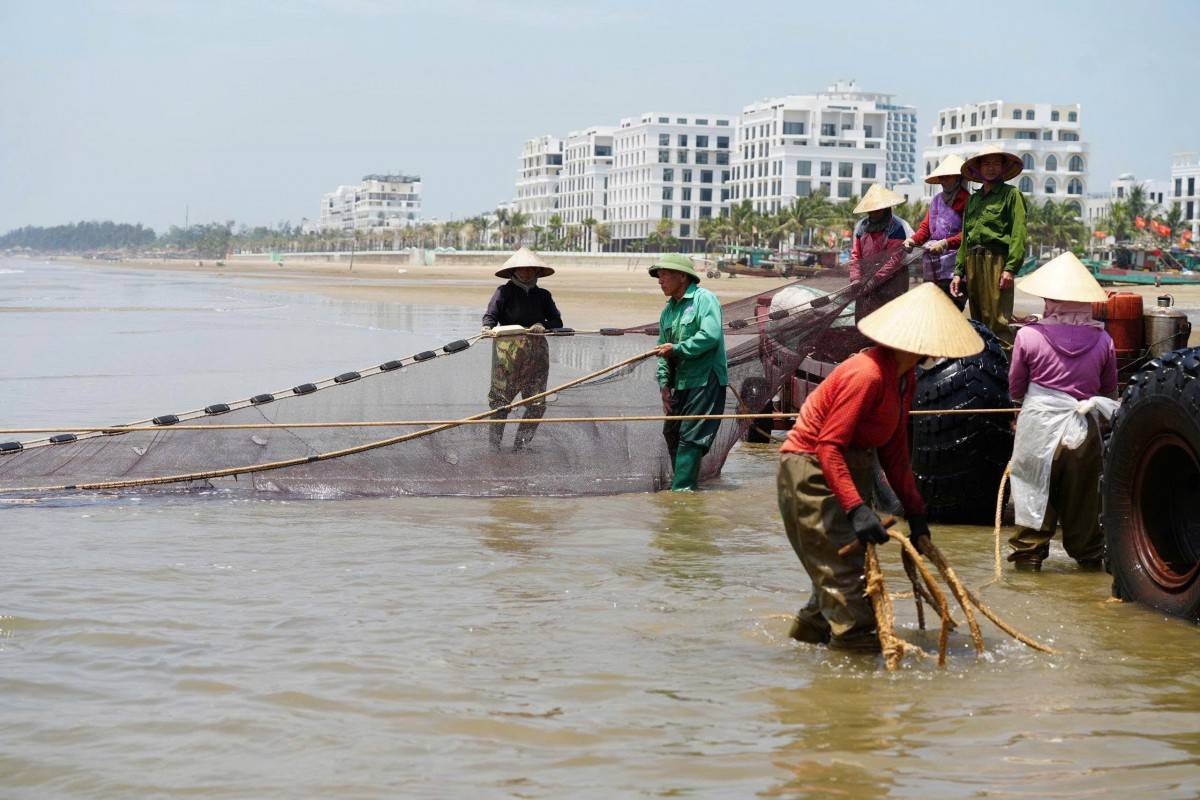 Nhộn nhịp mùa kéo lưới ở biển Sầm Sơn: Cá tôm vừa cập bờ đã có người chờ mua