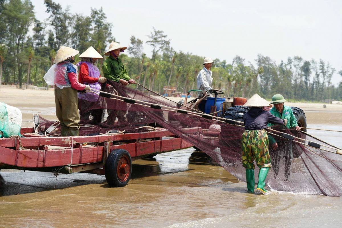 Nhộn nhịp mùa kéo lưới ở biển Sầm Sơn: Cá tôm vừa cập bờ đã có người chờ mua