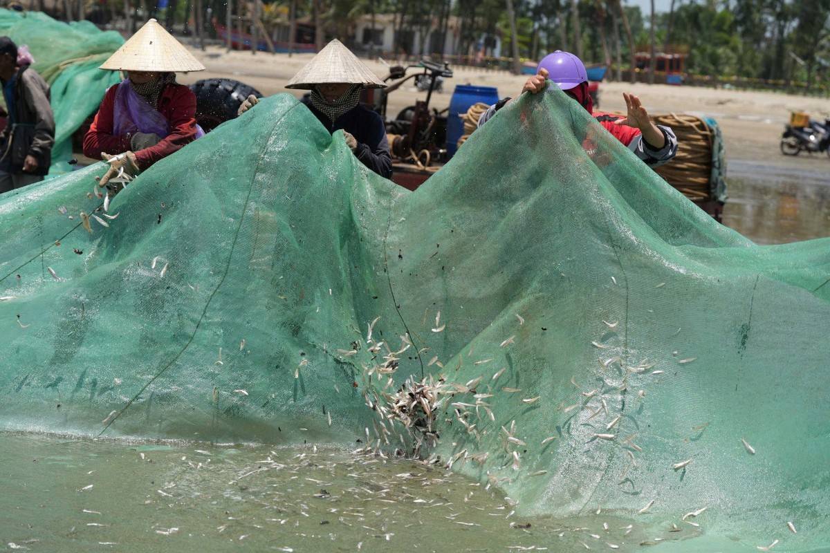 Nhộn nhịp mùa kéo lưới ở biển Sầm Sơn: Cá tôm vừa cập bờ đã có người chờ mua