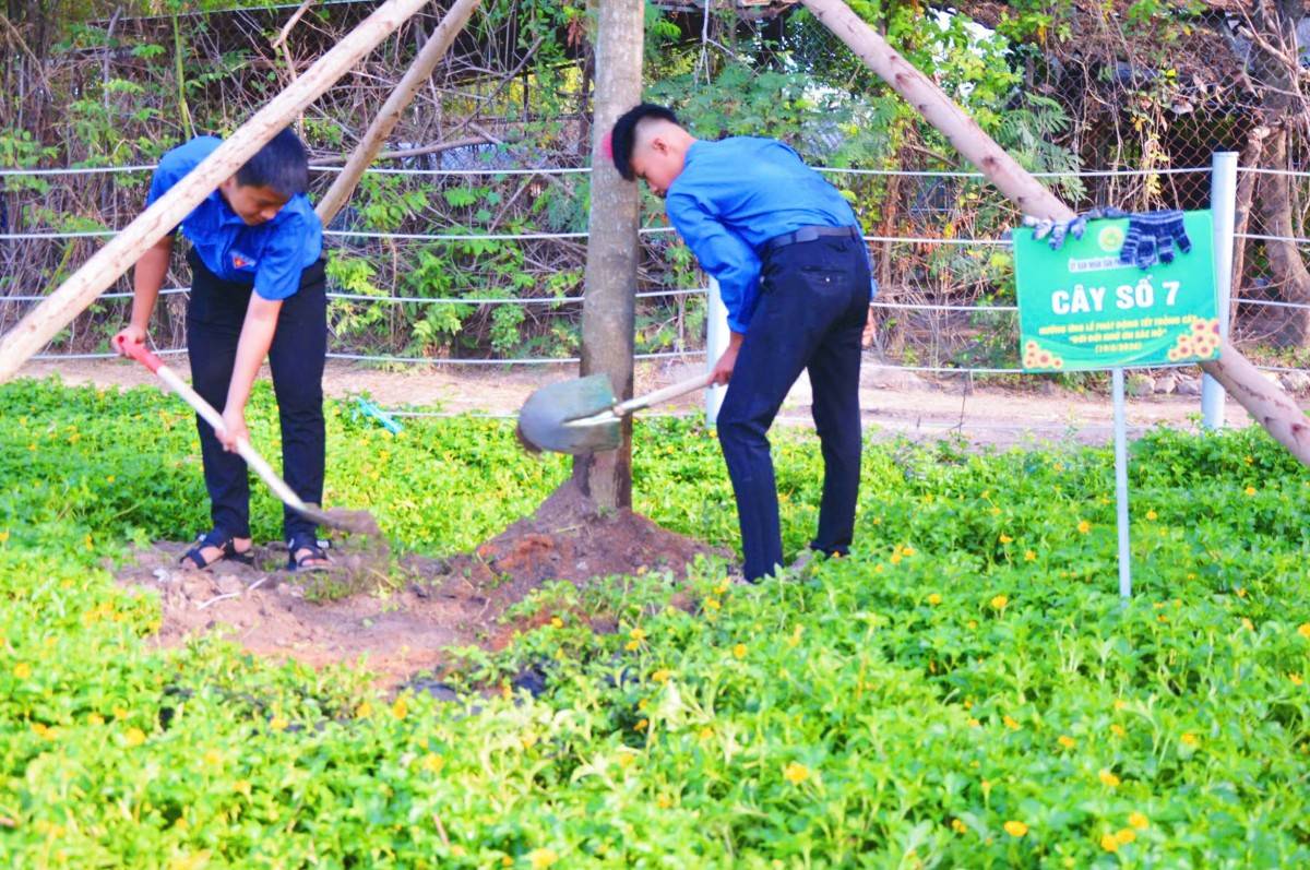 TP.Hồ Chí Minh: Phường Bình Tân phát động “Tết trồng cây đời đời nhớ ơn Bác Hồ” năm 2026