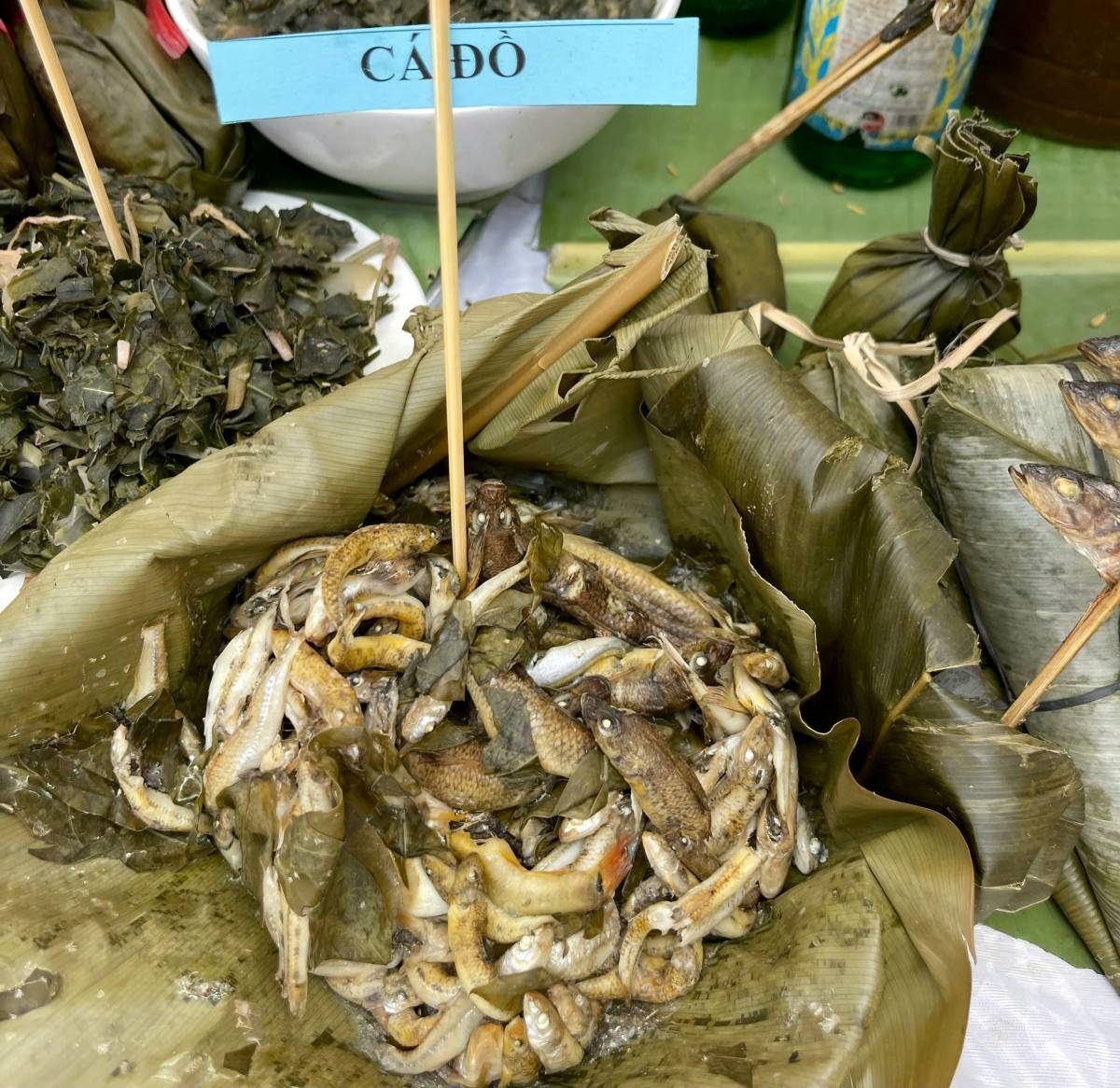Độc đáo lễ hội cả làng xuống suối bắt cá ở Phú Thọ