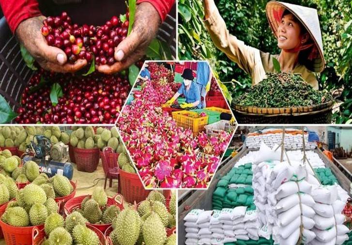 Siết quản lý mã số vùng trồng để nâng chất nông sản xuất khẩu