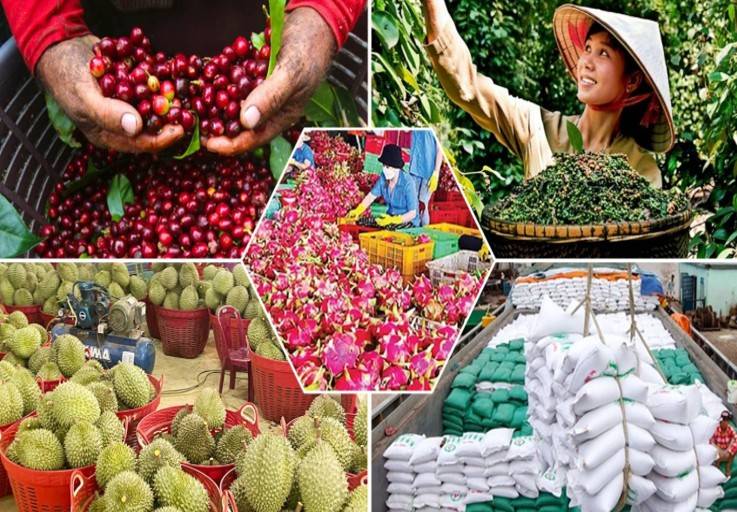 Siết quản lý mã số vùng trồng để nâng chất nông sản xuất khẩu