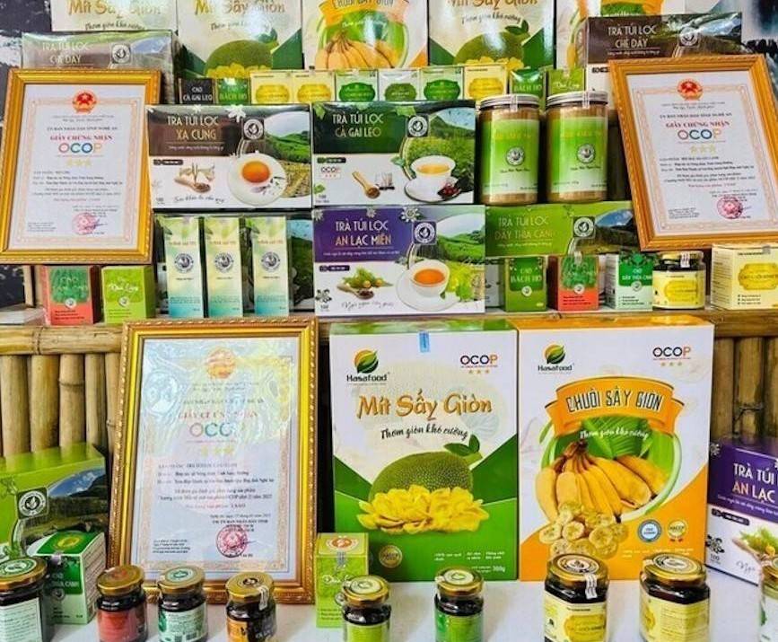Nghệ An: Nghiên cứu, đề xuất chính sách hỗ trợ HTX, doanh nghiệp xây dựng các sản phẩm chất lượng, đạt chuẩn OCOP