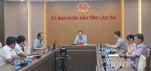 Lào Cai tháo gỡ vướng mắc mã số vùng trồng, thúc đẩy xuất khẩu nông sản bền vững