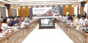 Tháo gỡ rào cản thuế, nguồn gốc xuất xứ để khơi thông xuất khẩu quế Lào Cai