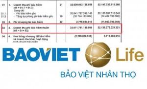 Bảo Việt Nhân thọ dồn hơn 251.000 tỷ đầu tư tài chính nuôi lãi