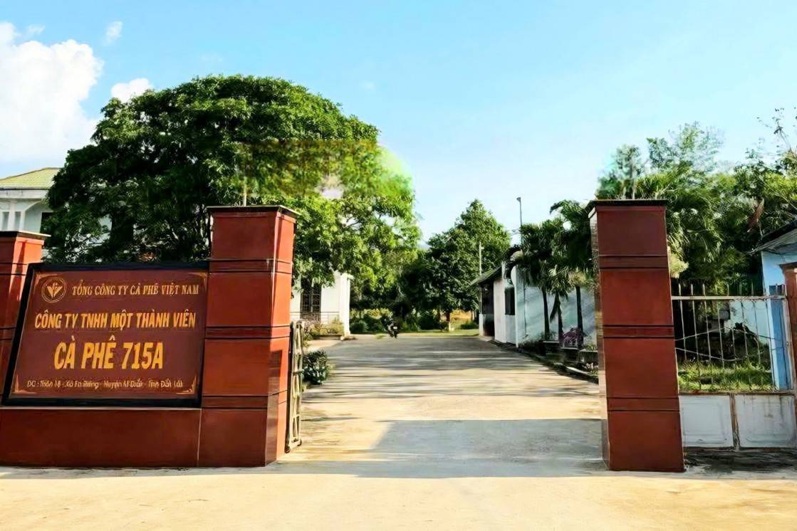 Đắk Lắk thanh tra công tác giấy chứng nhận quyền sử dụng đất  có nguồn gốc thu hồi từ các doanh nghiệp cà phê