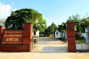 Đắk Lắk thanh tra công tác cấp giấy chứng nhận quyền sử dụng đất  có nguồn gốc thu hồi từ các doanh nghiệp cà phê