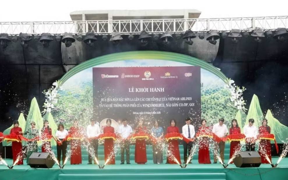 Các đại biểu thực hiện nghi thức đưa trái mận hậu Sơn La lên các chuyến bay của Vietnam Airlines và vào hệ thống phân phối WinCommerce, Saigon Co.op và GO!