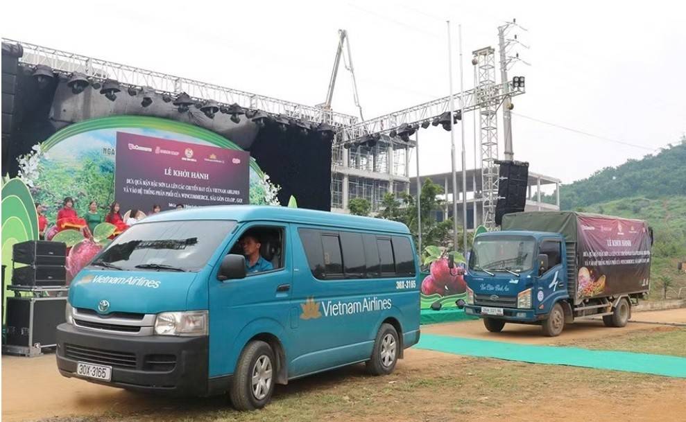 Khởi hành đưa mận hậu Sơn La lên các chuyến bay và vào hệ thống phân phối hiện đại trên toàn quốc.