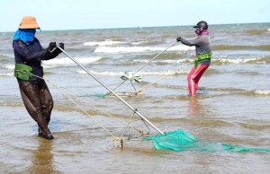 Mưu sinh nghề cào giắt ở biển Sầm Sơn (Thanh Hoá)
