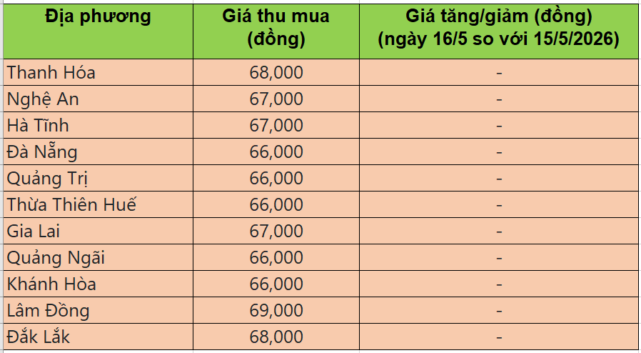 Bảng giá heo hơi tại miền Trung - Tây Nguyên hôm nay 16/5/2026